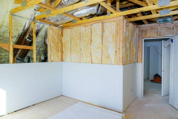 Best Wall Insulation Installation  in Tuntutuli, AK